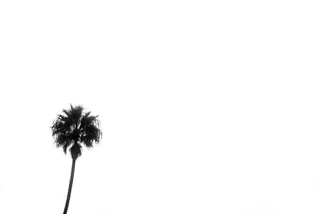Whispers in the Wind II