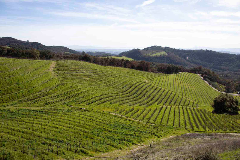 Sonoma Views