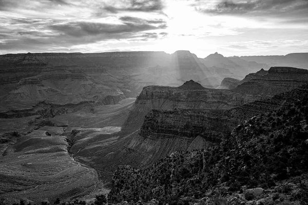 First Rays Black and White